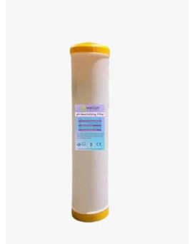 Wellon 20 inch Jumbo pH neutralizing Filter.