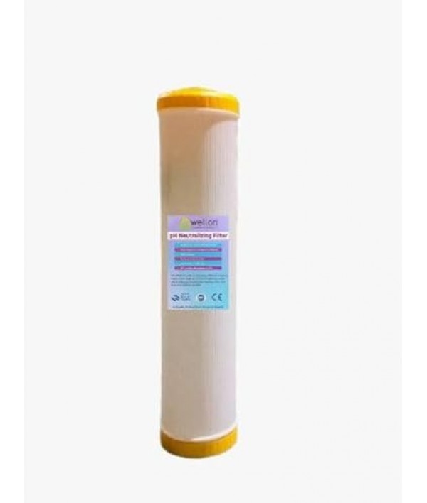 Wellon 20 inch Jumbo pH neutralizing Filter.