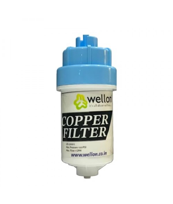 WELLON 4 inch Inception Copper Infuser Filter with Calcium, Magnesium and Zinc Suitable for All Domestic RO