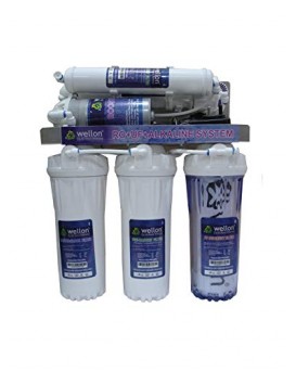 Wellon 10 LPH Openflow RO Water Purifier