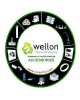 WELLON Flow Restrictor for Water Purifier - 20 Pieces | Water Flow Restrictor | After Membrane Filter | Original Shitong Flow Restrictor | Pushfit 1/4 inch Fitting Qc.Connector (400)