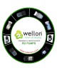 WELLON 75 GPD RO Booster Pump for All Types of Water Purifier (Grand Forest Pump) - 1 Pcs