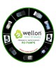 Wellon 75 GPD RO Booster Pump for All Types of Water Purifier (Grand Forest Pump) - 1 Pcs